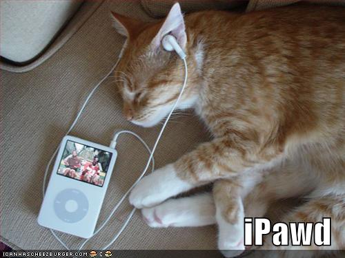 funny-pictures-ipod-cat.jpg